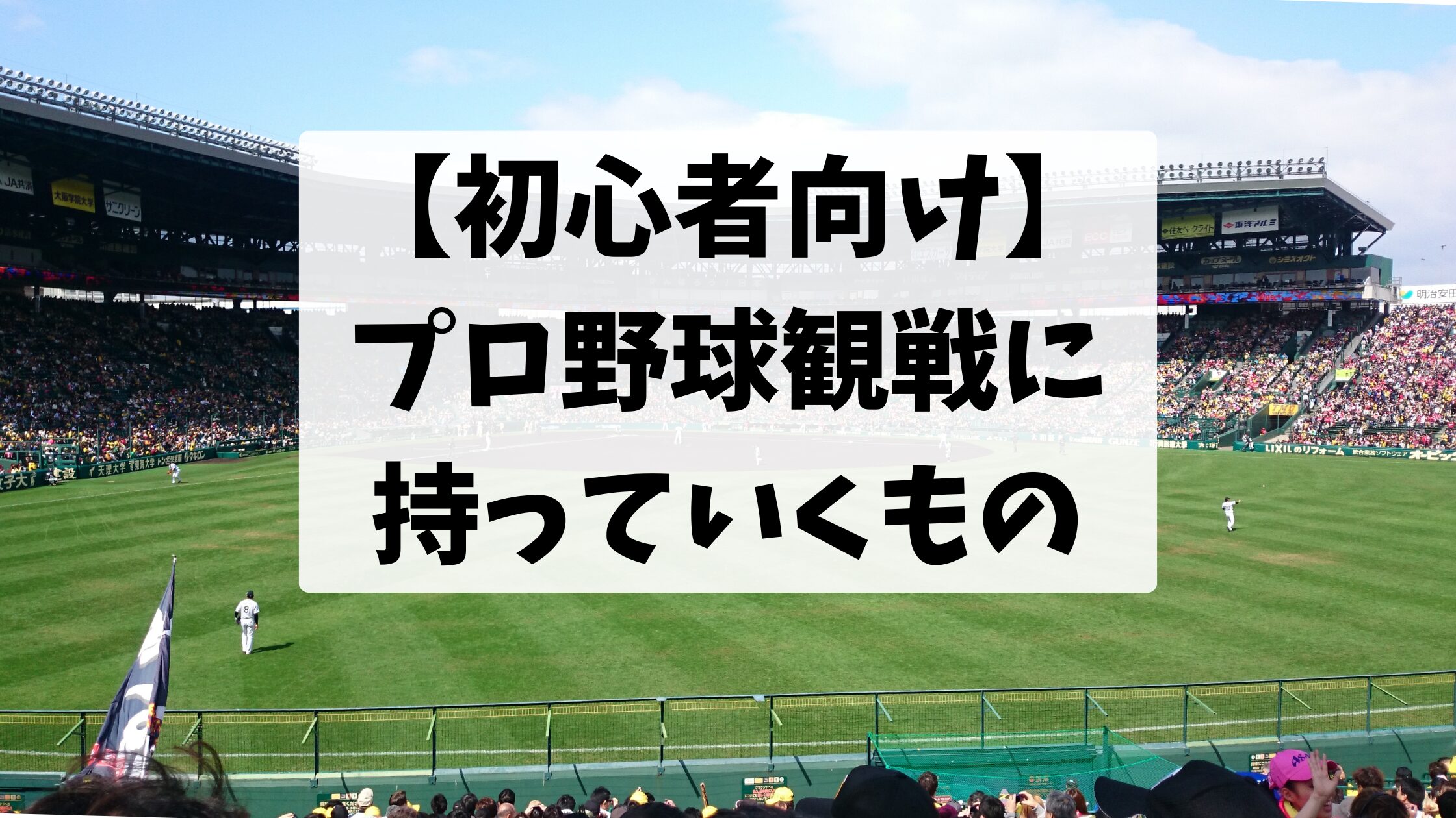 【初心者無向け】プロ野球観戦に 持っていくもの