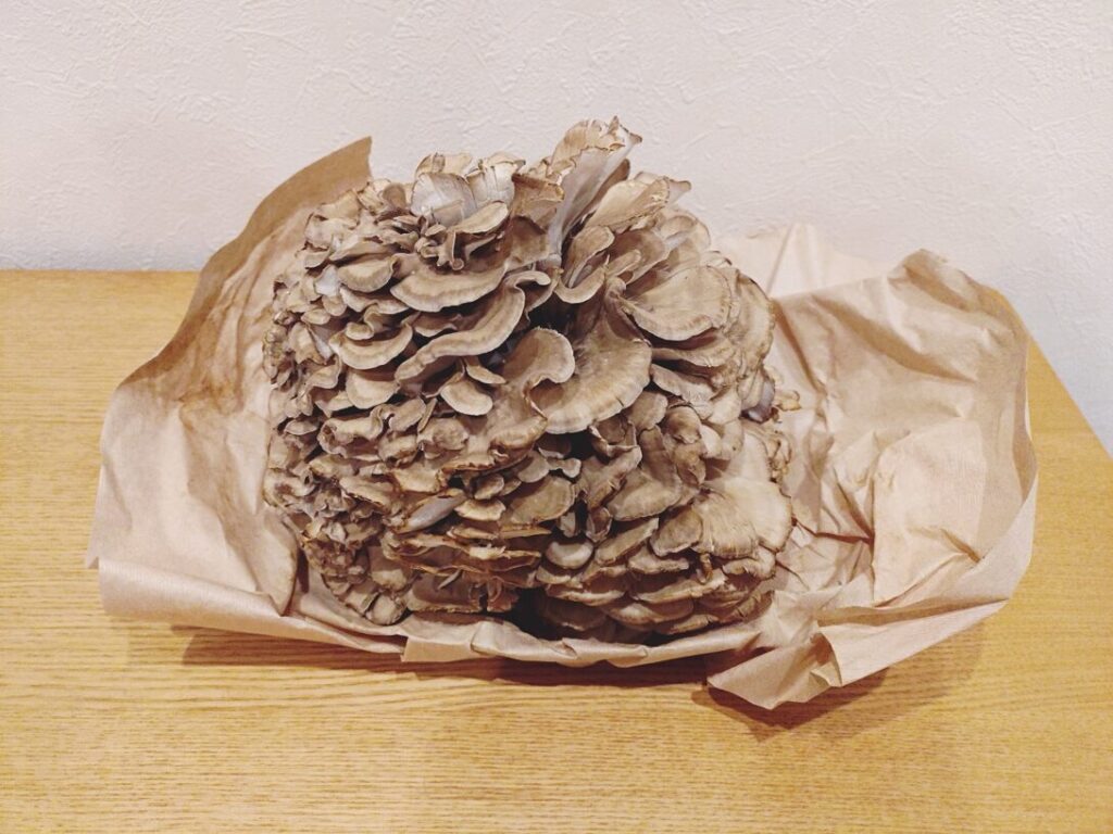 雪国まいたけ 極(きわみ)