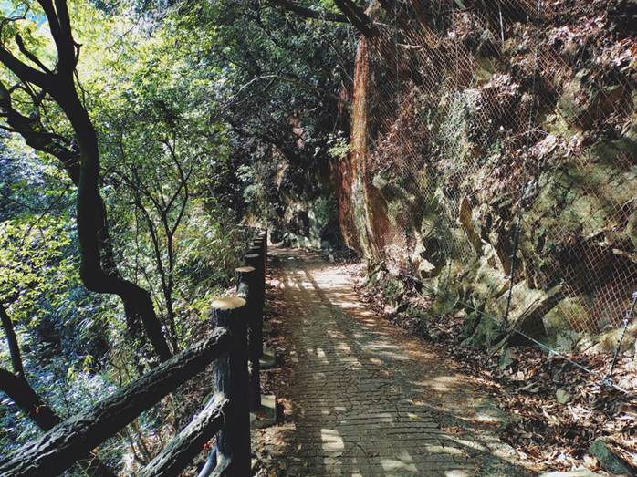 The path to dam