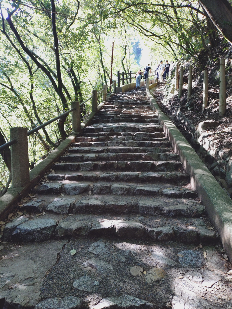 雄滝までの階段