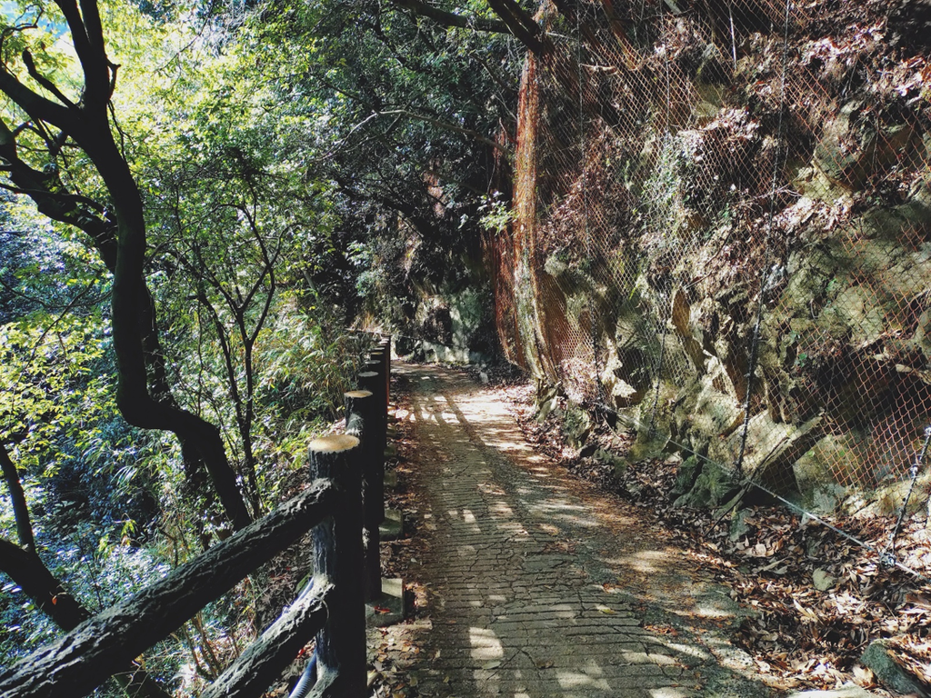 布引五本松堰堤へ行く道