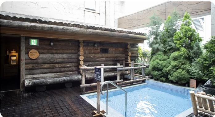 Finnish-Style Sauna